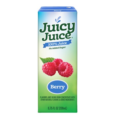 Juicy Juice Juicy Juice Slim Foodservice Berry 6.75 fl. oz., PK32